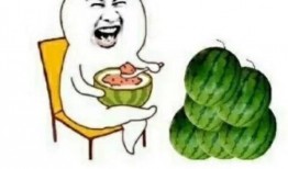 娱乐圈吃瓜的梗,揭秘明星们的“吃瓜”风云